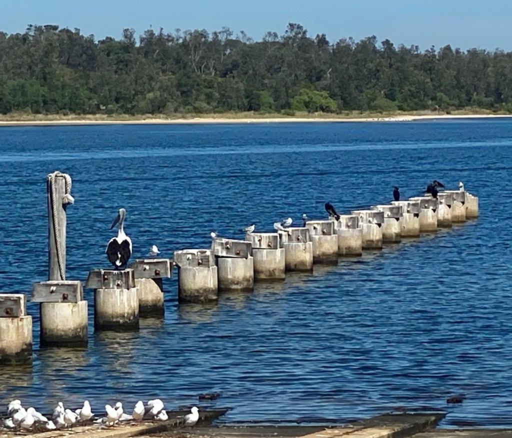 Sandbar Motel Lakes Entrance Kültér fotó